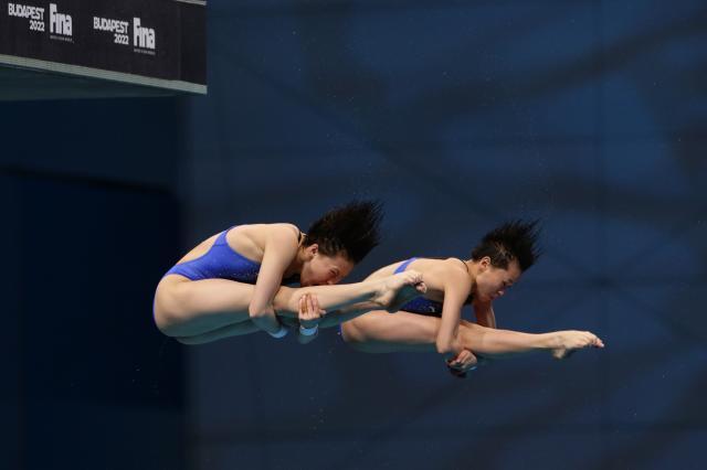 战队信息-世锦赛全红婵/陈芋汐强势问鼎 王宗源成三冠王